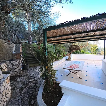 Coralia Villa